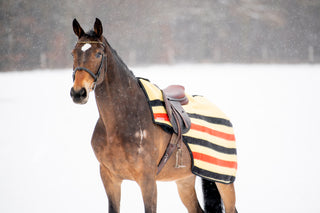 TORPOL® Training Blanket Whitney made of wool 