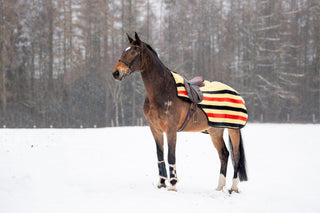 TORPOL® Training Blanket Whitney made of wool 